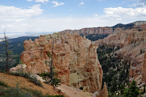 Black Birch Canyon at Bryce Canyon National Park